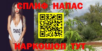 СК Моздок