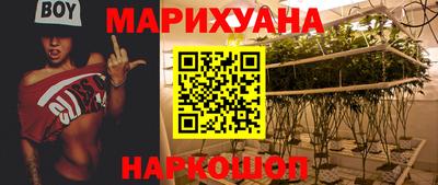 кокс Нальчик