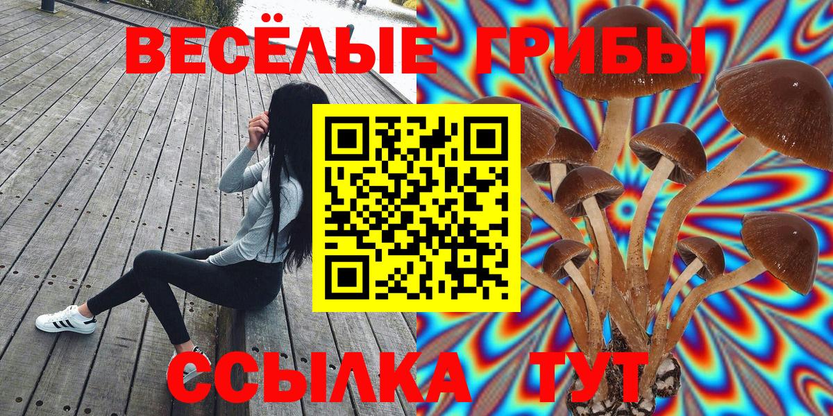 Галлюциногенные грибы Magic Shrooms Юрга